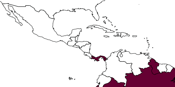 map of Ephuta abadia     (Cresson, 1902)